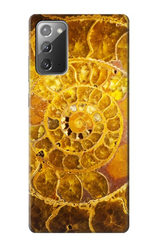 S1789 Ammonite Fossils Case Cover Custodia per Samsung Galaxy Note 20