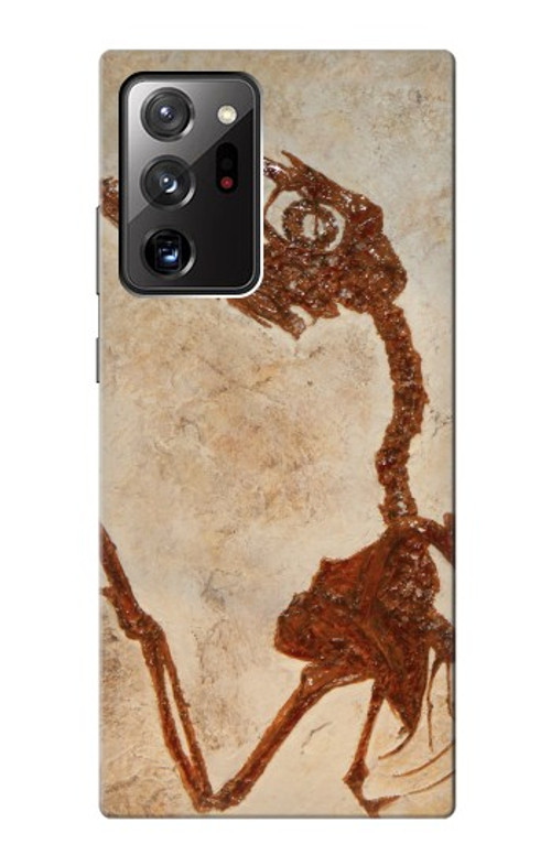 S0379 Dinosaur Fossil Case Cover Custodia per Samsung Galaxy Note 20 Ultra, Ultra 5G