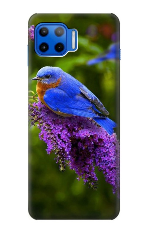 S1565 Bluebird of Happiness Blue Bird Case Cover Custodia per Motorola Moto G 5G Plus