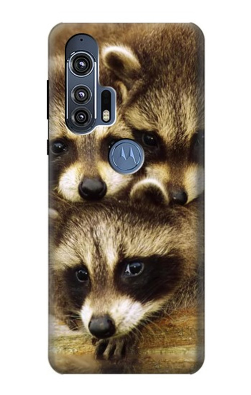 S0977 Baby Raccoons Case Cover Custodia per Motorola Edge+