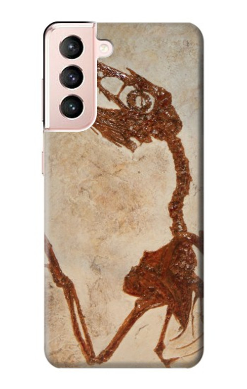 S0379 Dinosaur Fossil Case Cover Custodia per Samsung Galaxy S21 5G