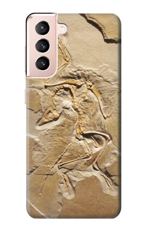 S0380 Dinosaur Fossil Case Cover Custodia per Samsung Galaxy S21 5G