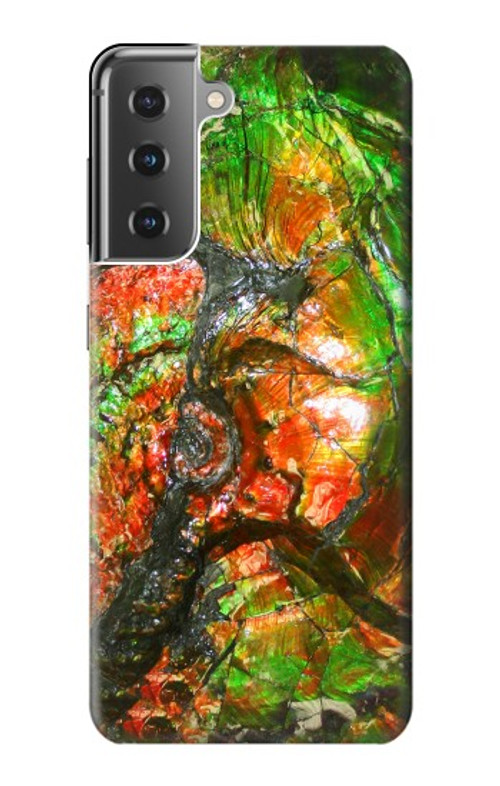 S2694 Ammonite Fossil Case Cover Custodia per Samsung Galaxy S21 Plus 5G, Galaxy S21+ 5G