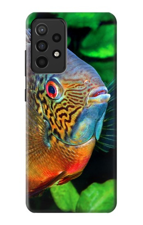 S1812 Cichlid Fish Case Cover Custodia per Samsung Galaxy A52, Galaxy A52 5G