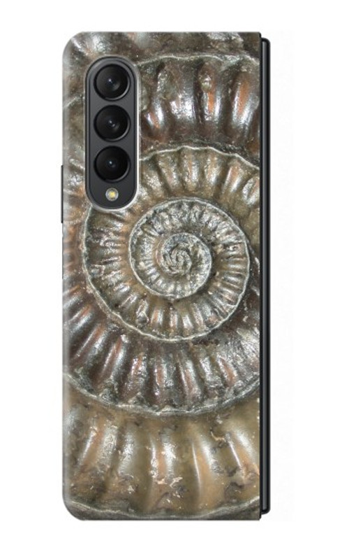 S1788 Ammonite Fossil Case For Samsung Galaxy Z Fold 3 5G