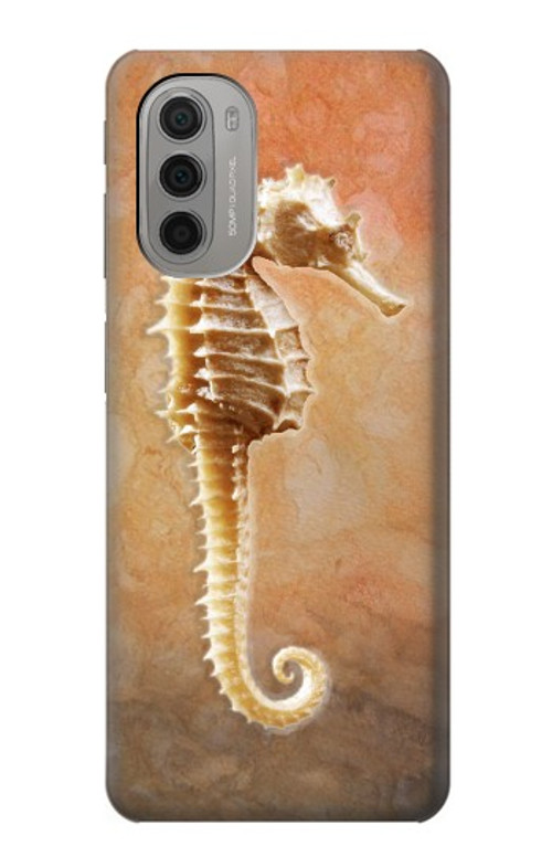 S2674 Seahorse Skeleton Fossil Case Cover Custodia per Motorola Moto G51 5G