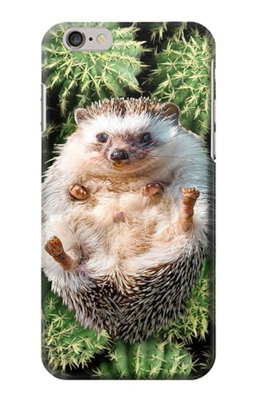 S3863 Pygmy Hedgehog Dwarf Hedgehog Paint Case Cover Custodia per iPhone 6 6S