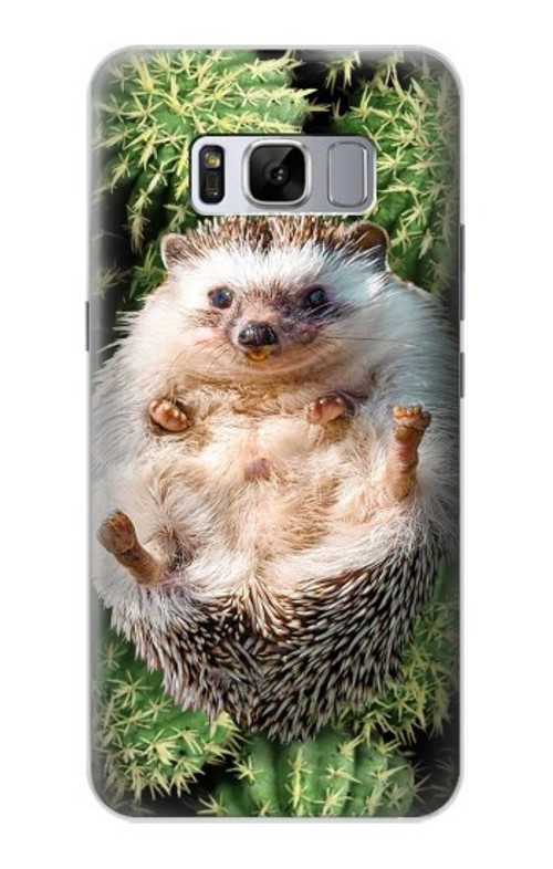 S3863 Pygmy Hedgehog Dwarf Hedgehog Paint Case Cover Custodia per Samsung Galaxy S8