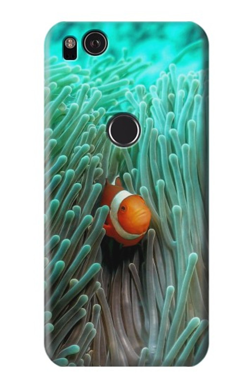 S3893 Ocellaris clownfish Case Cover Custodia per Google Pixel 2