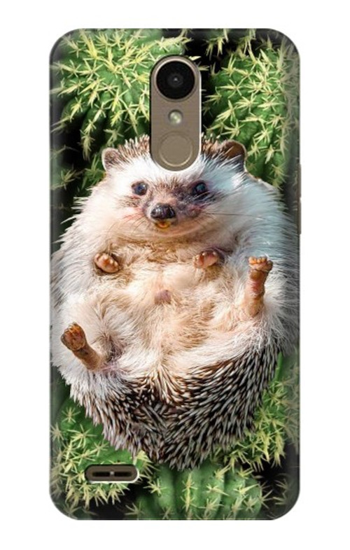 S3863 Pygmy Hedgehog Dwarf Hedgehog Paint Case Cover Custodia per LG K10 (2018), LG K30