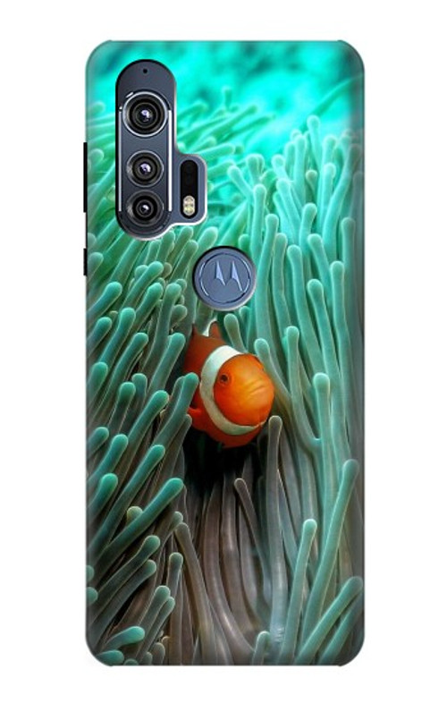 S3893 Ocellaris clownfish Case Cover Custodia per Motorola Edge+