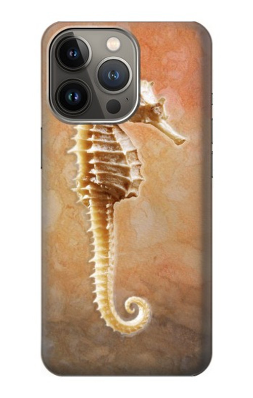 S2674 Seahorse Skeleton Fossil Case Cover Custodia per iPhone 14 Pro