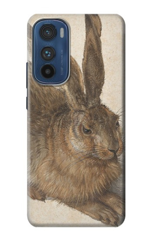 S3781 Albrecht Durer Young Hare Case Cover Custodia per Motorola Edge 30