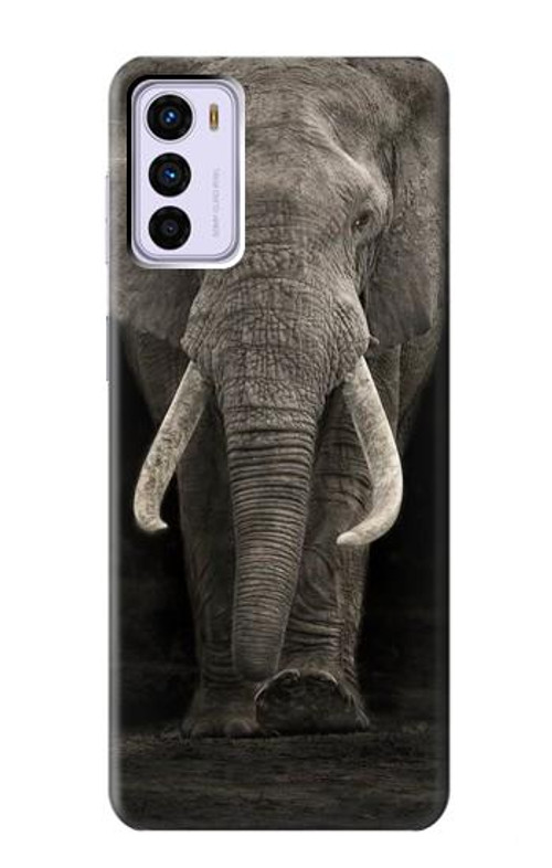 S3496 African Elephant Case Cover Custodia per Motorola Moto G42