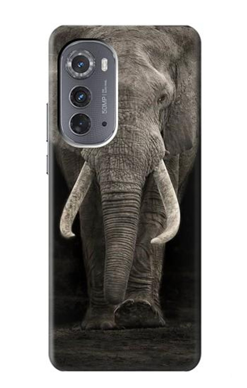 S3496 African Elephant Case Cover Custodia per Motorola Edge (2022)