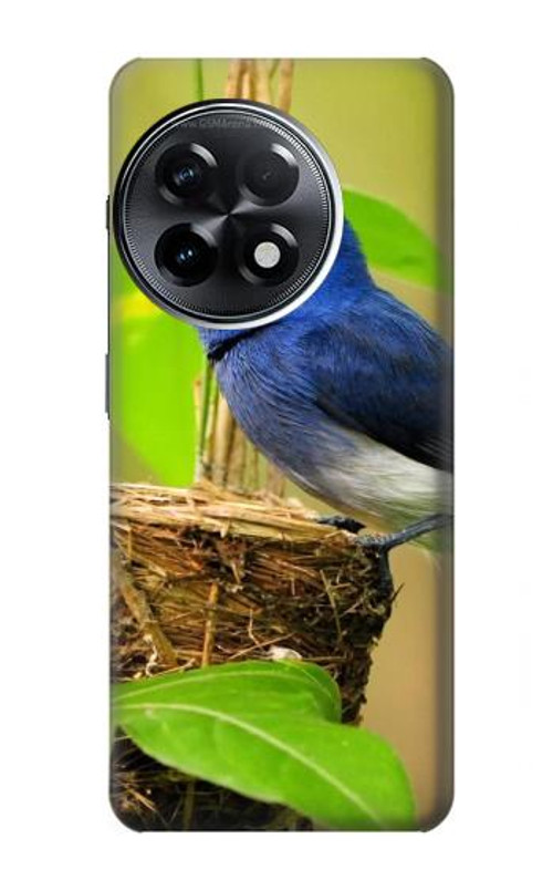 S3839 Bluebird of Happiness Blue Bird Case Cover Custodia per OnePlus 11R