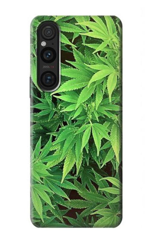 S1656 Marijuana Plant Case Cover Custodia per Sony Xperia 1 V S1656 Marijuana Plant Case Cover Custodia per Sony Xperia 1 V