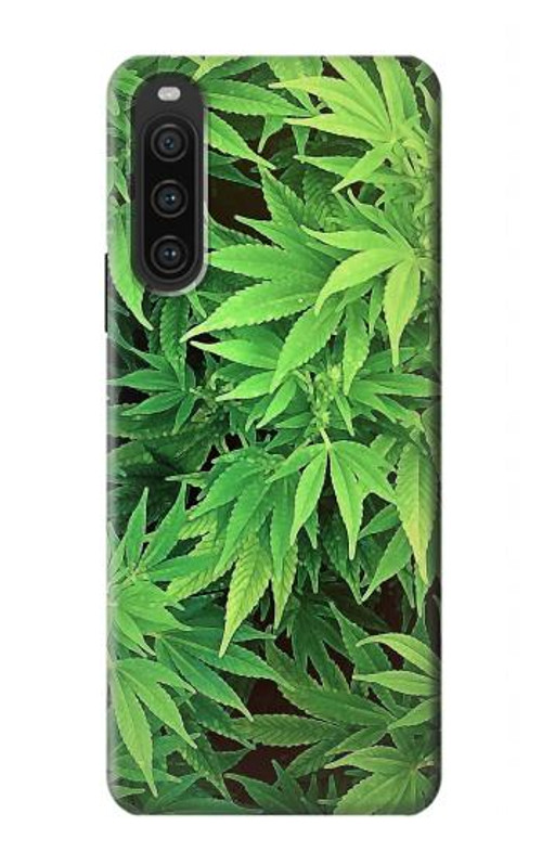 S1656 Marijuana Plant Case Cover Custodia per Sony Xperia 10 V S1656 Marijuana Plant Case Cover Custodia per Sony Xperia 10 V