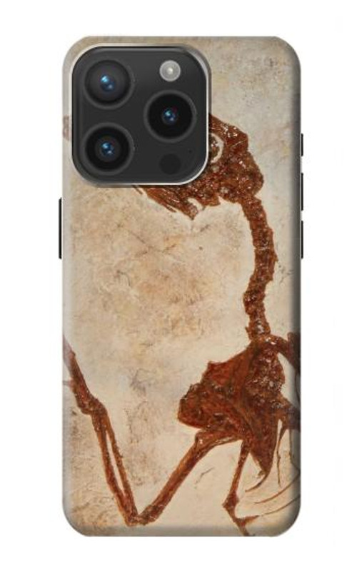 S0379 Dinosaur Fossil Case Cover Custodia per iPhone 15 Pro