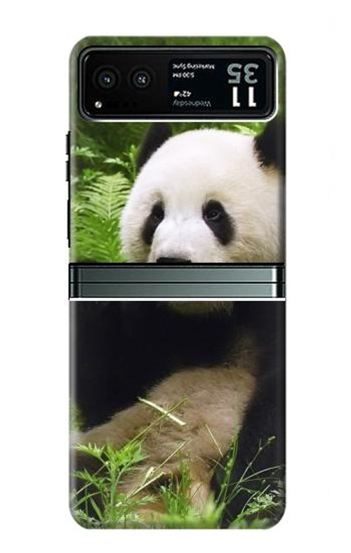 S1073 Panda Enjoy Eating Case Cover Custodia per Motorola Razr 40