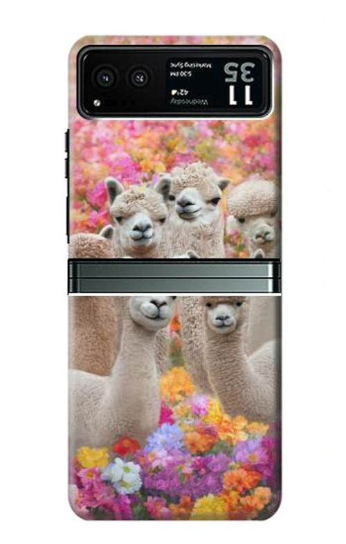 S3916 Alpaca Family Baby Alpaca Case Cover Custodia per Motorola Razr 40