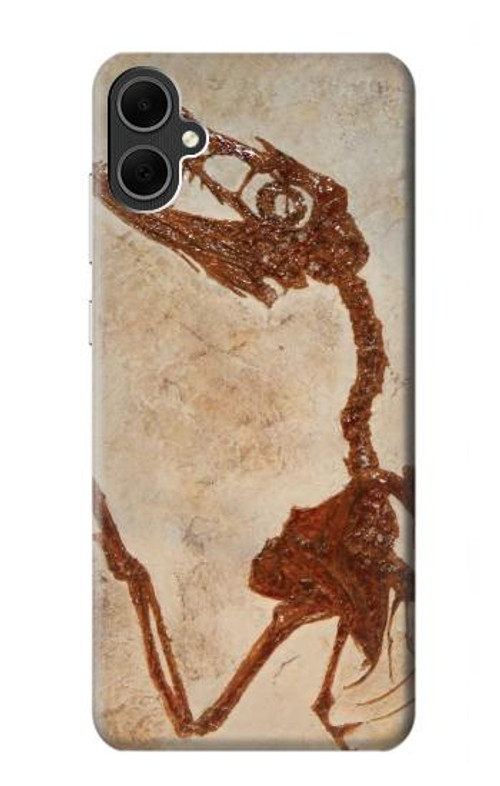 S0379 Dinosaur Fossil Case Cover Custodia per Samsung Galaxy A05
