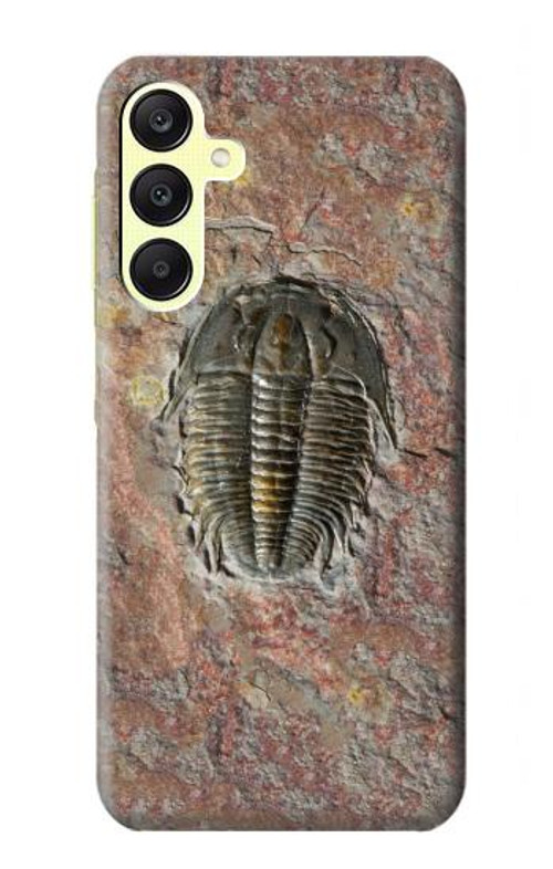 S1454 Trilobite Fossil Case Cover Custodia per Samsung Galaxy A25 5G