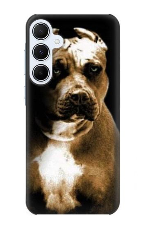 S0520 PitBull Case Cover Custodia per Samsung Galaxy A55 5G S0520 PitBull Case Cover Custodia per Samsung Galaxy A55 5G