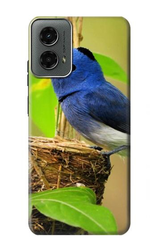 S3839 Bluebird of Happiness Blue Bird Case Cover Custodia per Motorola Moto G 5G (2024)