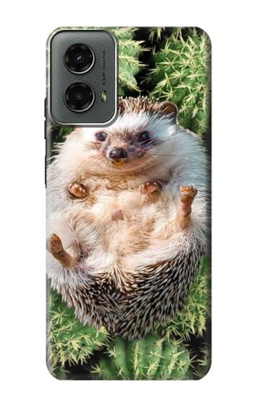 S3863 Pygmy Hedgehog Dwarf Hedgehog Paint Case Cover Custodia per Motorola Moto G 5G (2024)