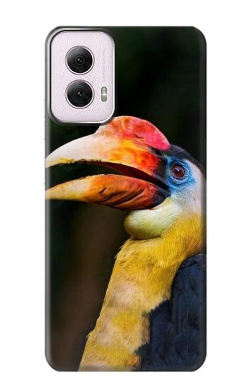 S3876 Colorful Hornbill Case Cover Custodia per Motorola Moto G Power 5G (2024)