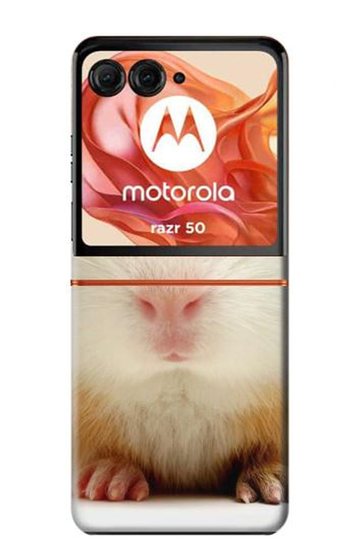 S1619 Cute Guinea Pig Case Cover Custodia per Motorola Razr 50