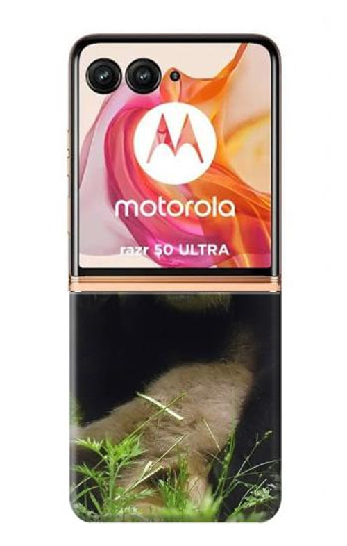 S1073 Panda Enjoy Eating Case Cover Custodia per Motorola Razr 50 Ultra