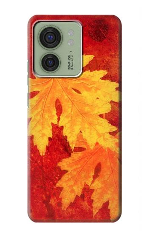 S0479 Maple Leaf Case Cover Custodia per Motorola Edge (2023), Edge 40