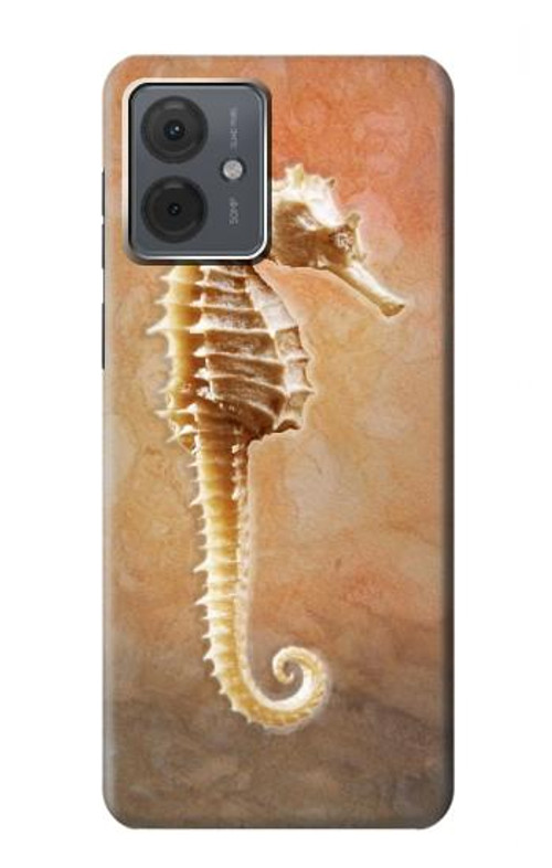S2674 Seahorse Skeleton Fossil Case Cover Custodia per Motorola Moto G14