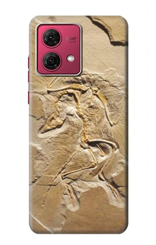 S0380 Dinosaur Fossil Case Cover Custodia per Motorola Moto G84 S0380 Dinosaur Fossil Case Cover Custodia per Motorola Moto G84