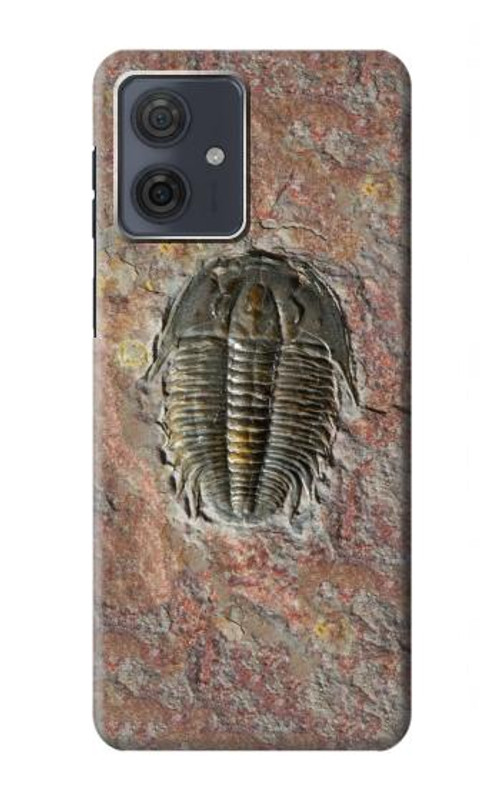 S1454 Trilobite Fossil Case Cover Custodia per Motorola Moto G54 S1454 Trilobite Fossil Case Cover Custodia per Motorola Moto G54