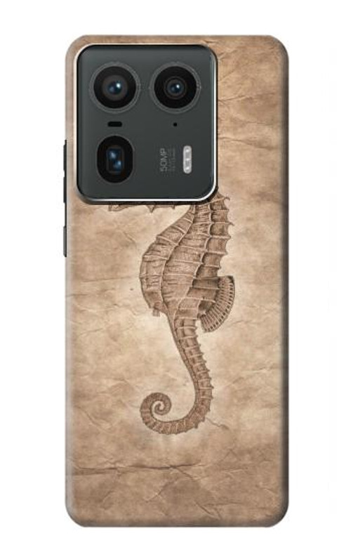 S3214 Seahorse Skeleton Fossil Case Cover Custodia per Motorola Edge 50 Ultra