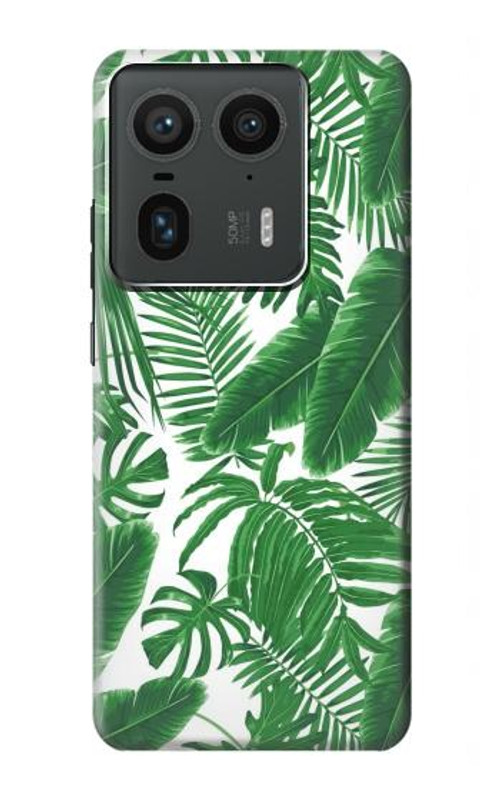S3457 Paper Palm Monstera Case Cover Custodia per Motorola Edge 50 Ultra