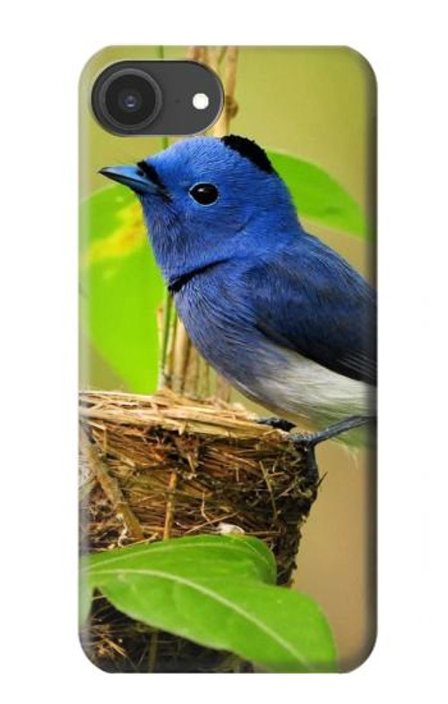 S3839 Bluebird of Happiness Blue Bird Case Cover Custodia per iPhone 16e