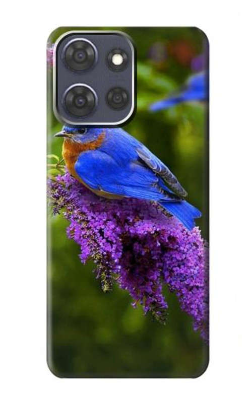 S1565 Bluebird of Happiness Blue Bird Case Cover Custodia per Motorola Moto G Power (2025)