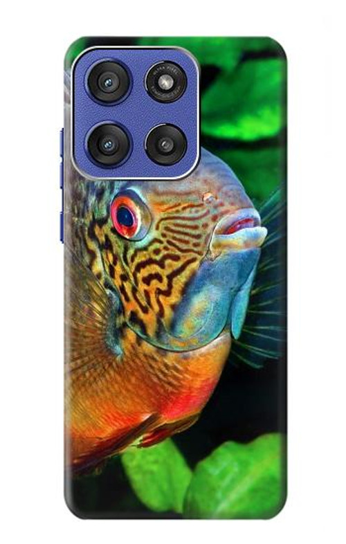 S1812 Cichlid Fish Case Cover Custodia per Motorola Moto G Stylus 5G (2025), Edge 60 Stylus
