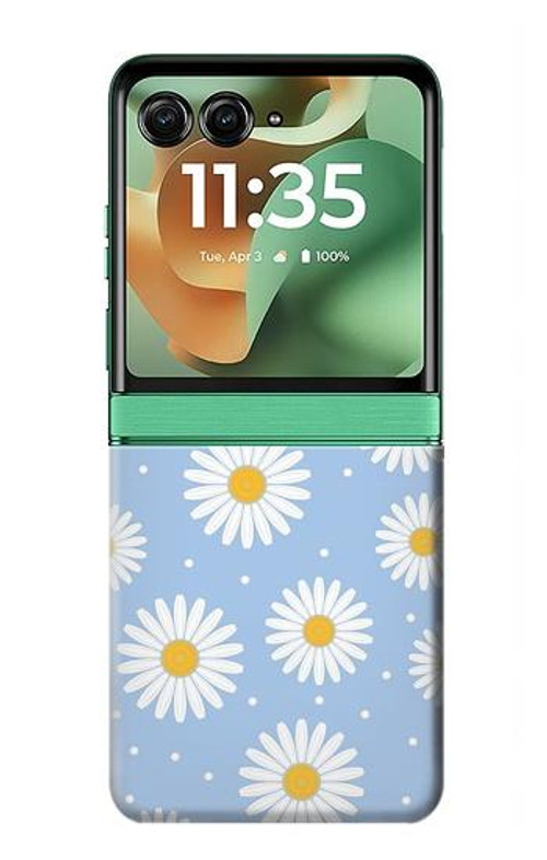S3681 Daisy Flowers Pattern Case Cover Custodia per Motorola Razr 60, Razr 2025