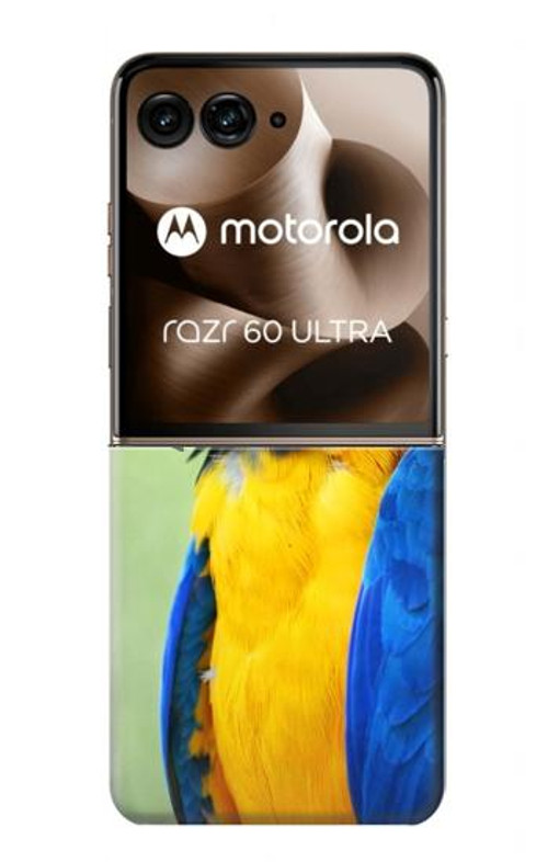 S3888 Macaw Face Bird Case Cover Custodia per Motorola Razr 60 Ultra, Razr Ultra 2025
