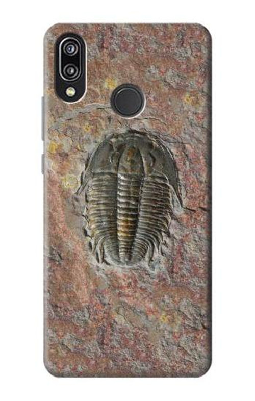 S1454 Trilobite Fossil Case Cover Custodia per Huawei P20 Lite