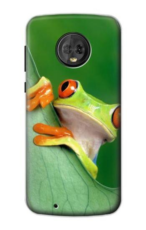 S1047 Little Frog Case Cover Custodia per Motorola Moto G6