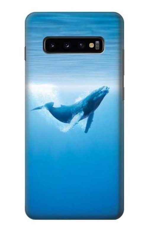 S0843 Blue Whale Case Cover Custodia per Samsung Galaxy S10 Plus
