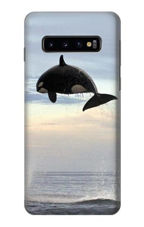 S1349 Killer whale Orca Case Cover Custodia per Samsung Galaxy S10