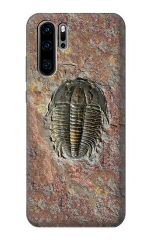 S1454 Trilobite Fossil Case Cover Custodia per Huawei P30 Pro