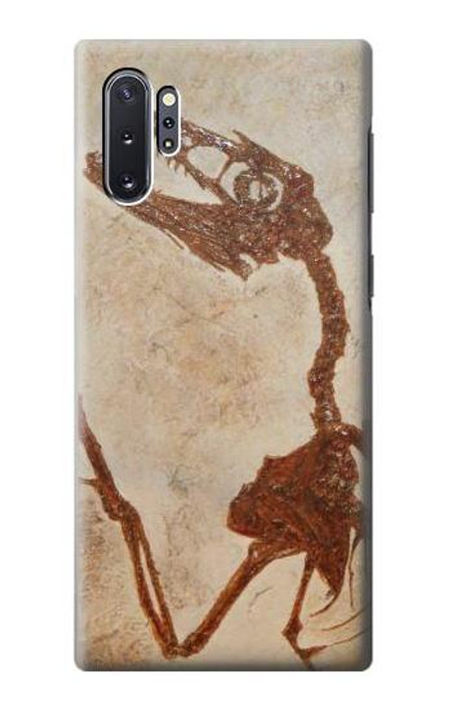 S0379 Dinosaur Fossil Case Cover Custodia per Samsung Galaxy Note 10 Plus